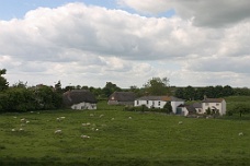 CRW_2192 Sheep Near Avebury Circle